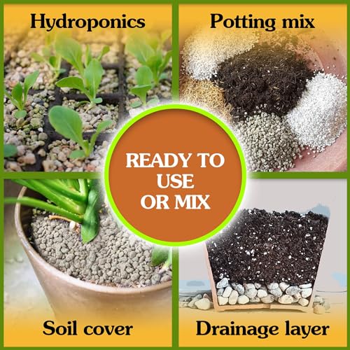 Horticultural Pumice 2 QT 1/4" - 3/8" T285050