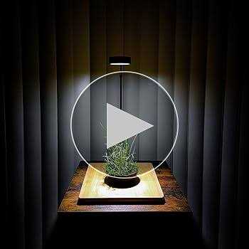 Full Spectrum LED Light with Bamboo Board A6453