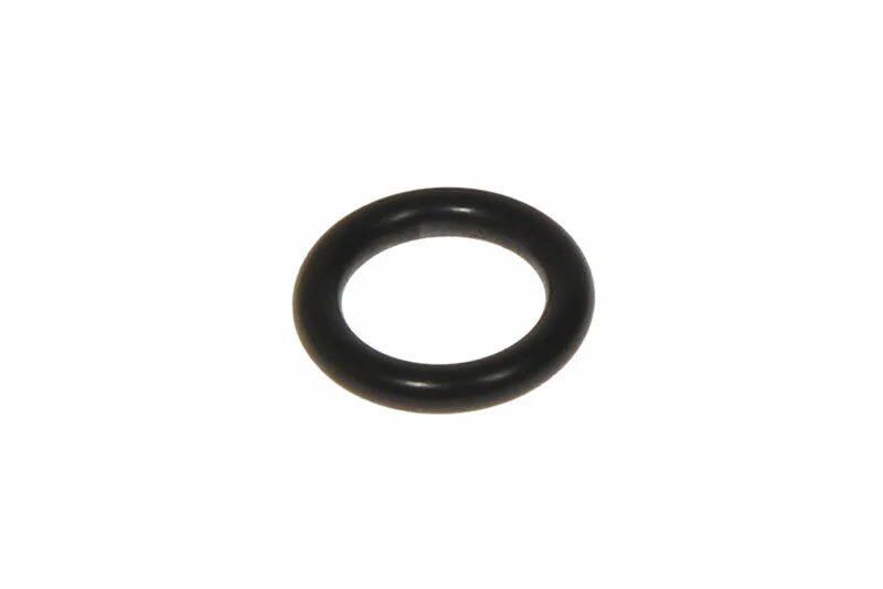 O-Ring F883080