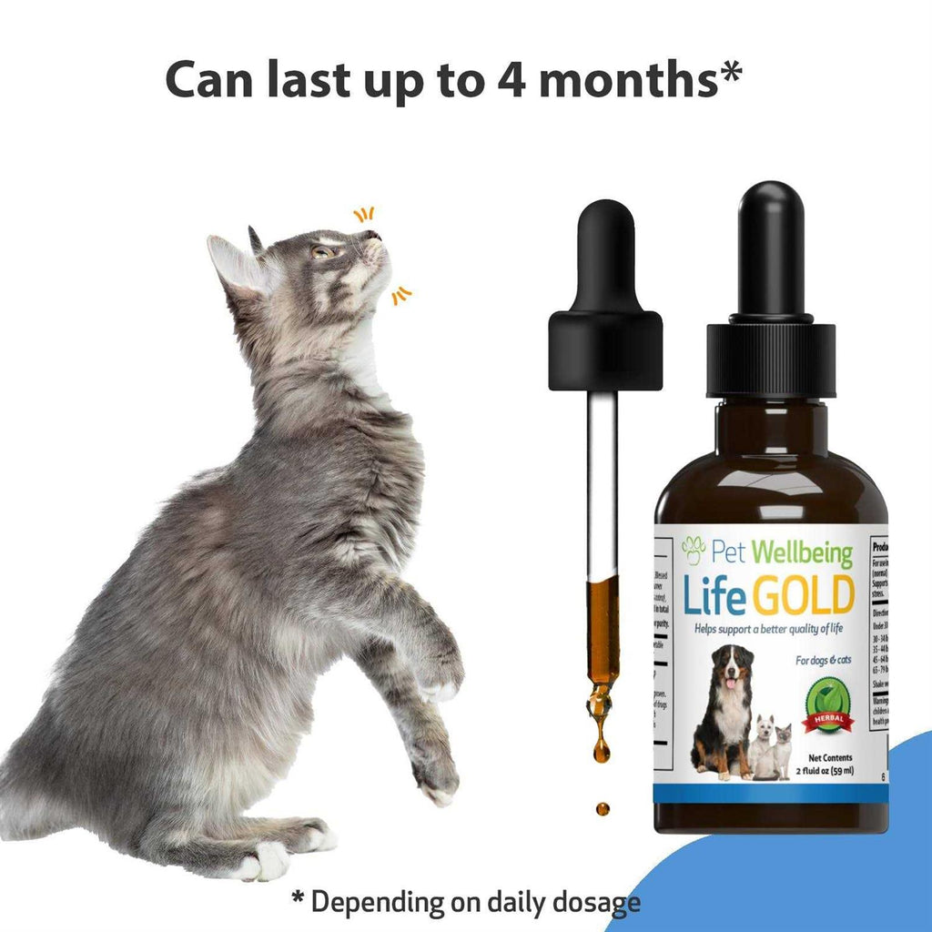 Life Gold for Dogs T48585