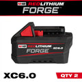 18V Lithium-Ion 6.0 Ah Battery Pack 2-Pack Y843