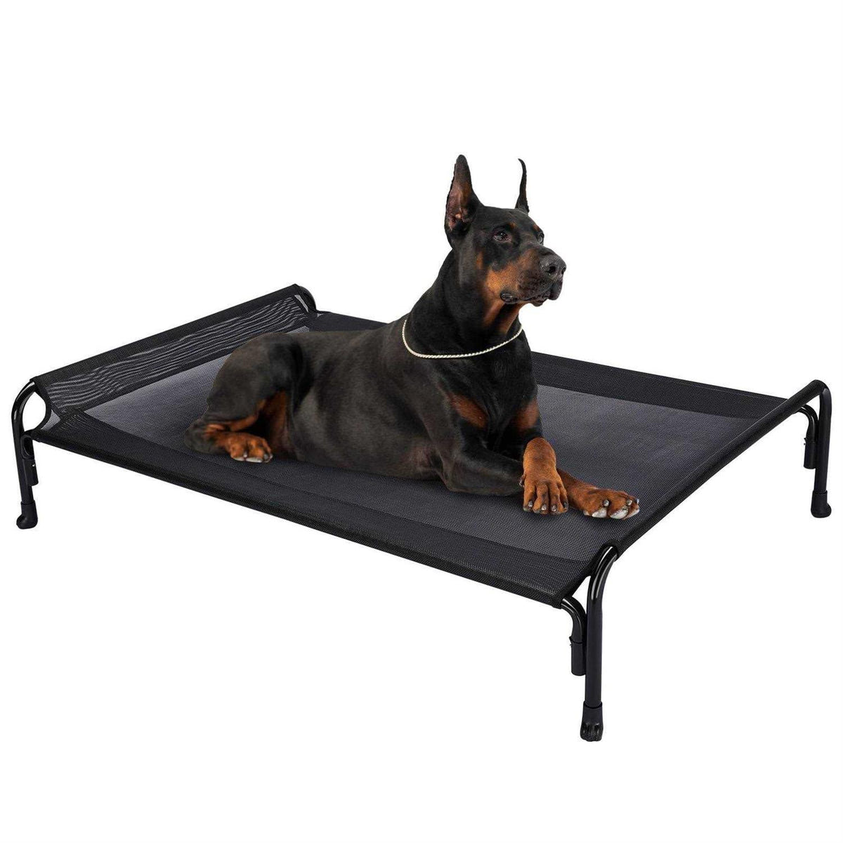 Elevated Dog Bed with Washable Mesh J891