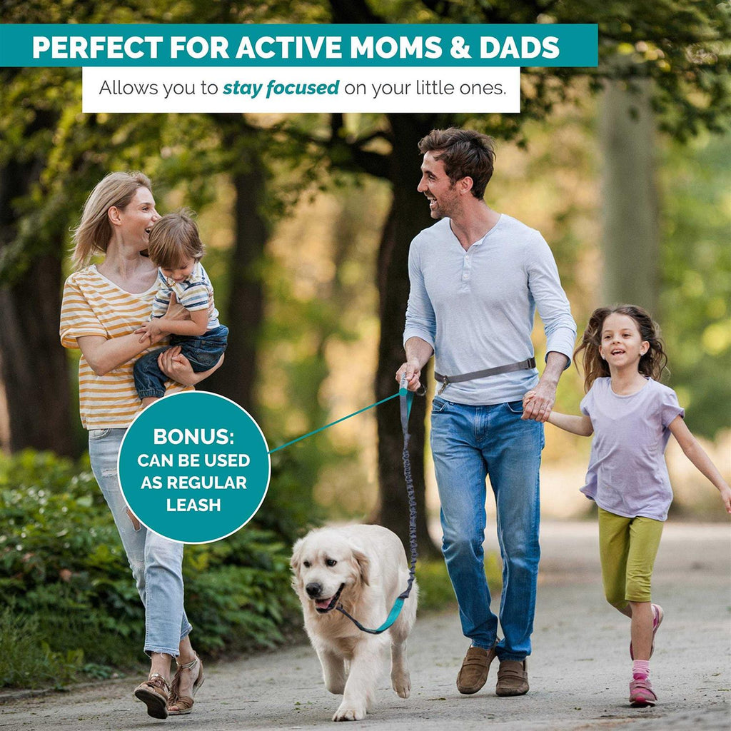 Hands Free Dog Leash M54552