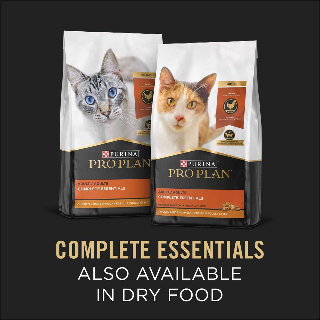 Adult Cat Food Salmon & Rice Entree in Sauce G90009