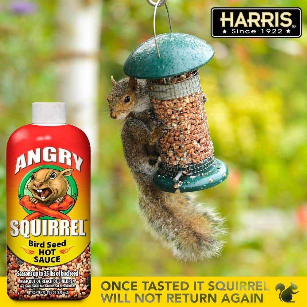 Bird Seed Hot Sauce 8 oz Y710006
