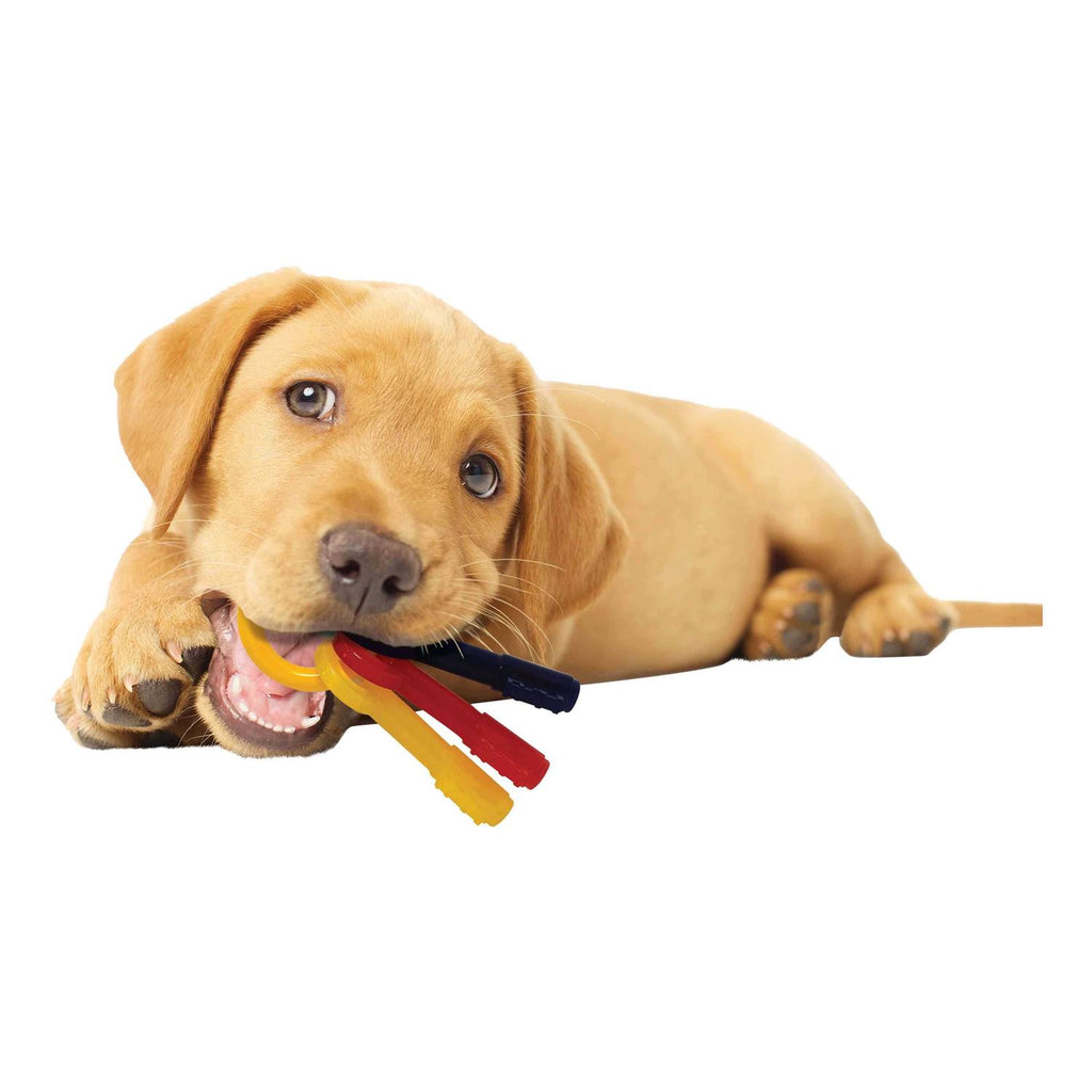Puppy Chew Teething Keys U493