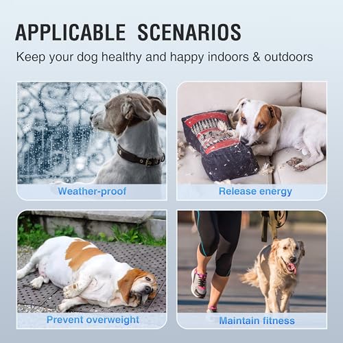 Adjustable Ramp Canine Running Slatmill Machine with Pedometer Z580