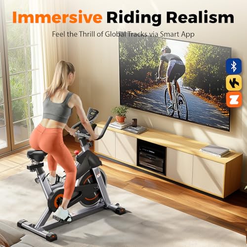 Magnetic Indoor Cycling Bike with Tablet Holder L582988