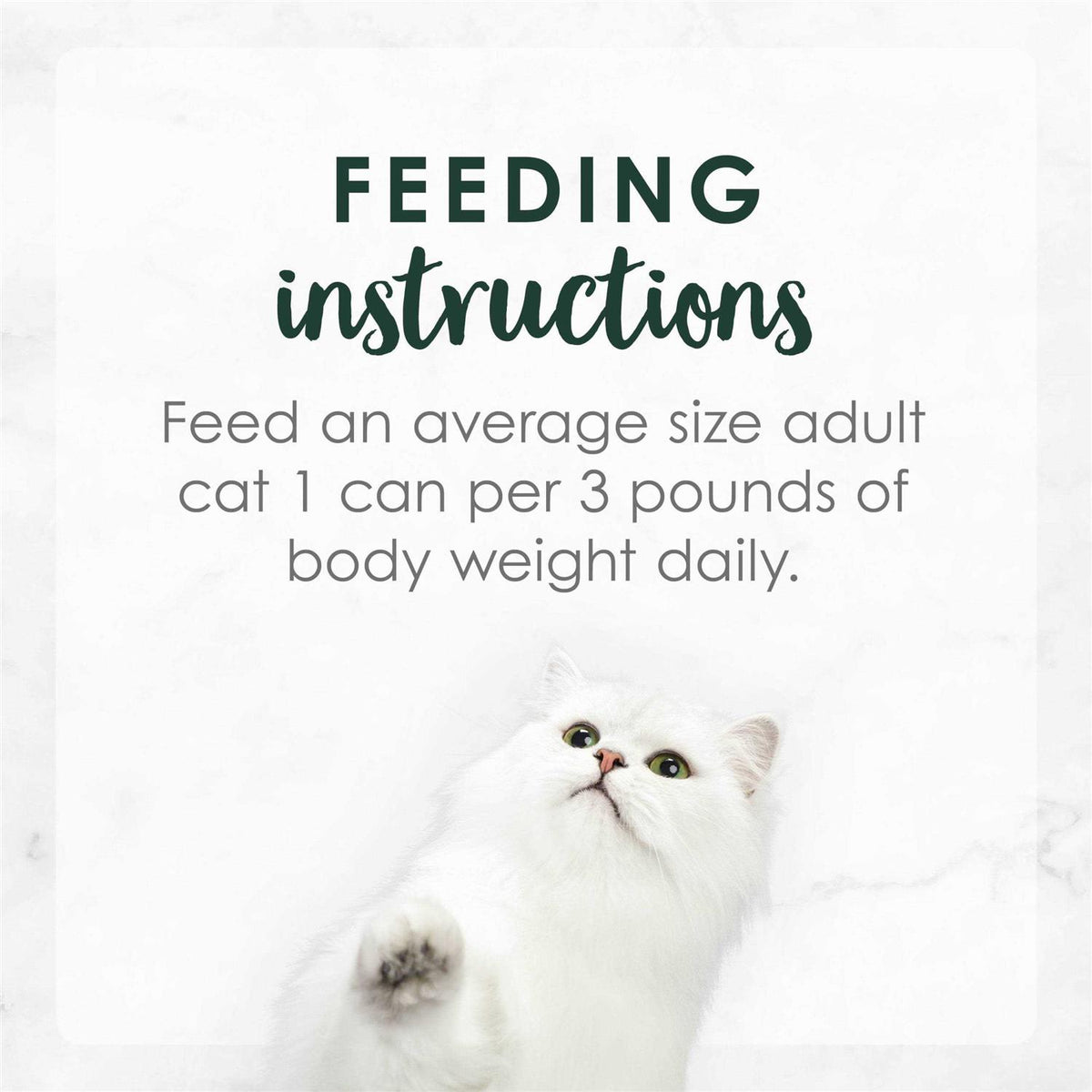 Gravy Wet Cat Food S63569