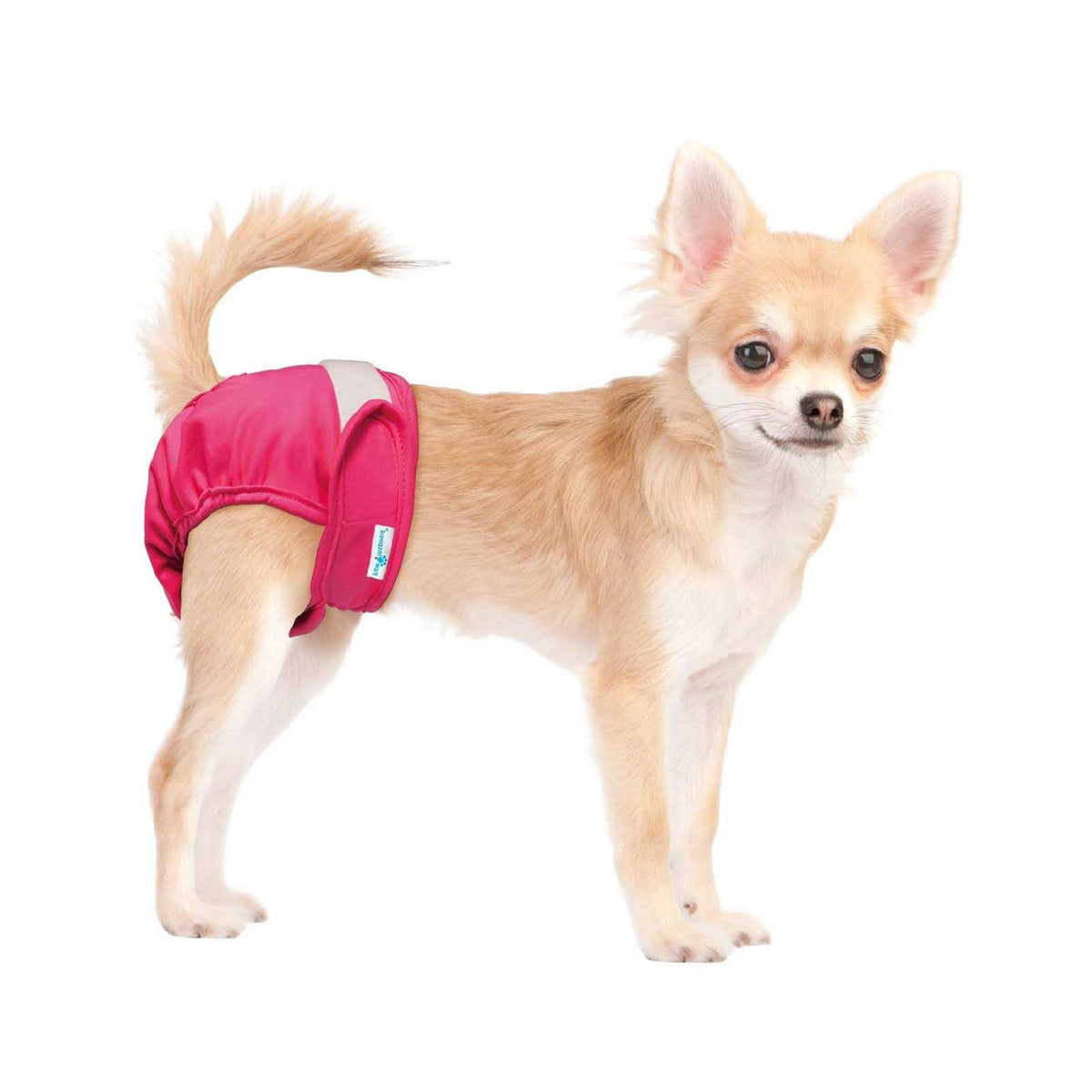 Washable Reusable Female Dog Diapers Y4602