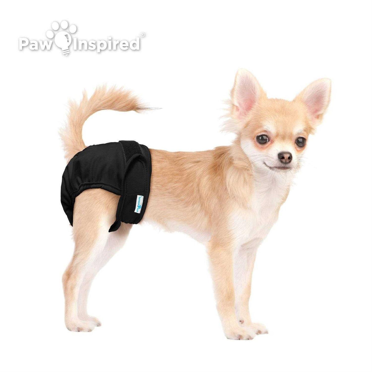 Washable Reusable Female Dog Diapers Y4602