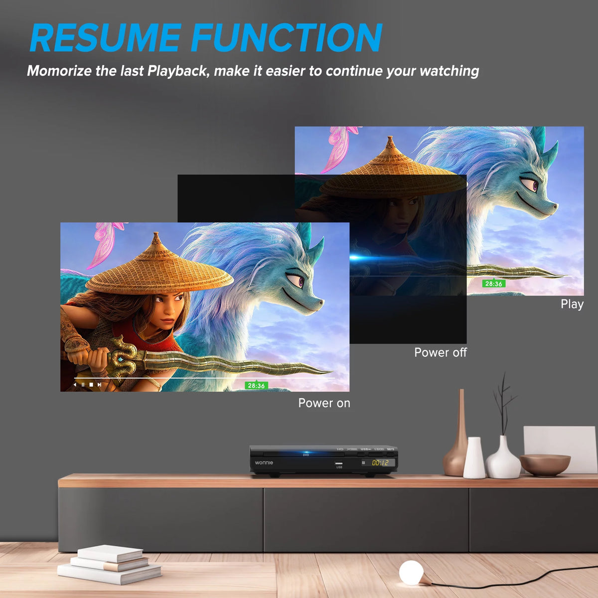 HD DVD Player for TV with USB Input and Remote Control W521