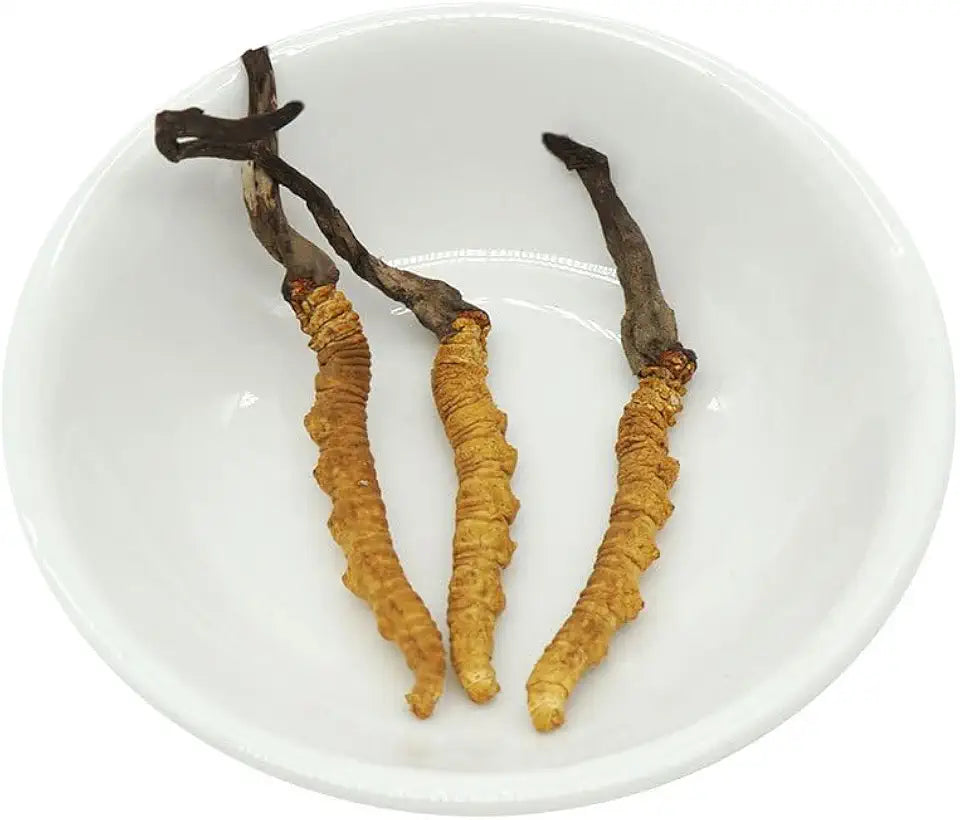 Dried Cordyceps sinensis 3 pcs 1g K678523