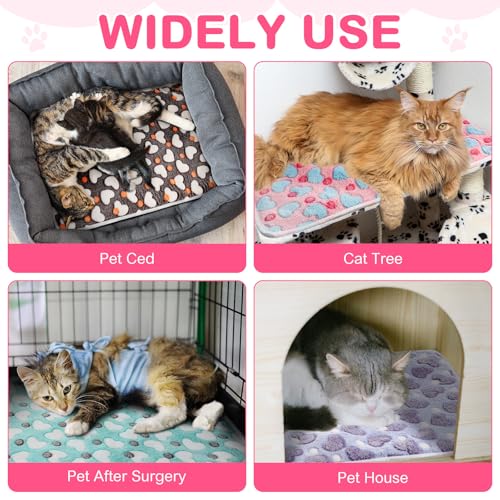 4 Pack Self Warming Cat Bed with Removable Cover, 16 x 20 Inches D87619