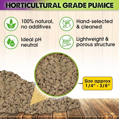 Horticultural Pumice 2 QT 1/4" - 3/8" T285050
