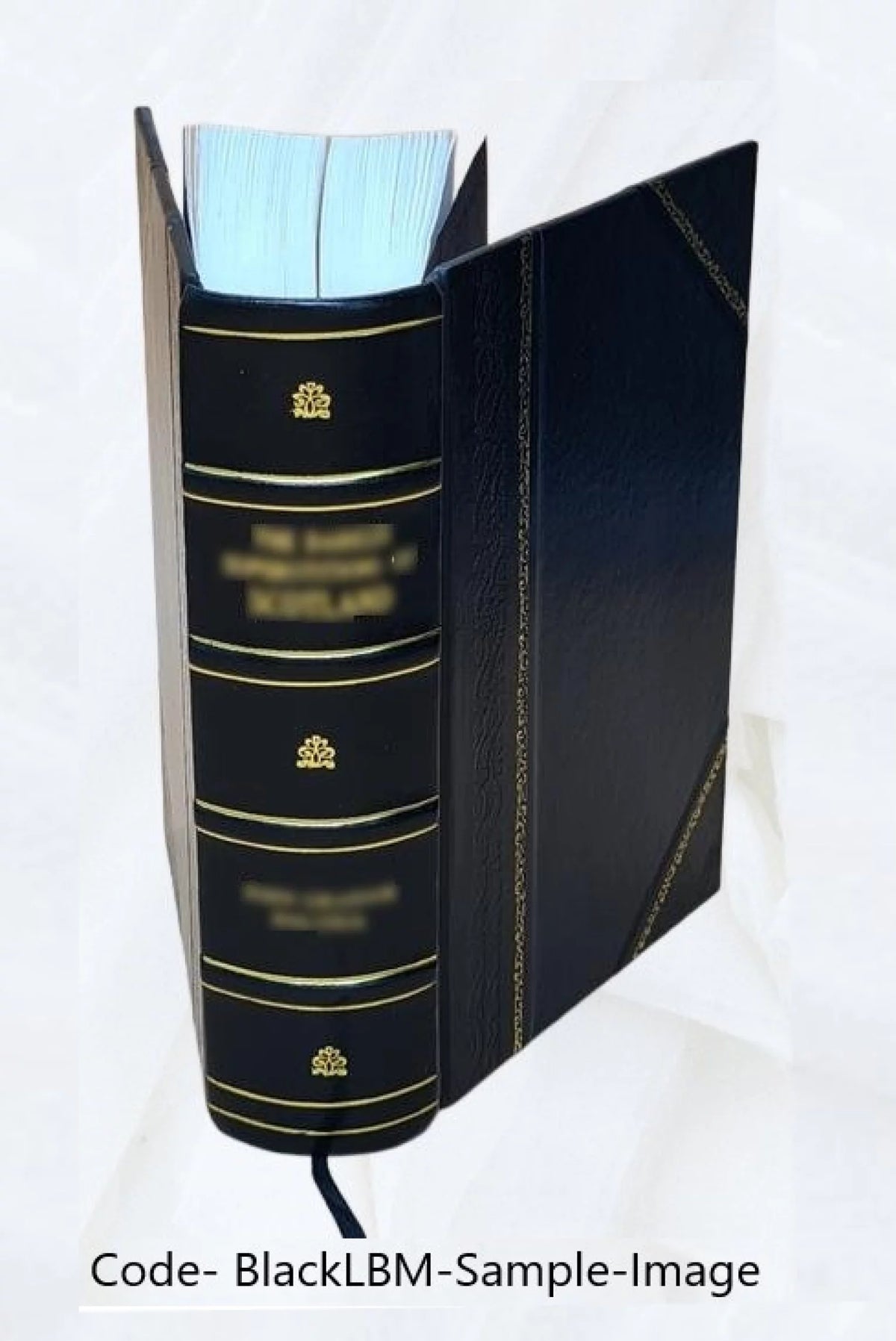 Commentaires sur le prophete Isaïe Leather Bound Q5353