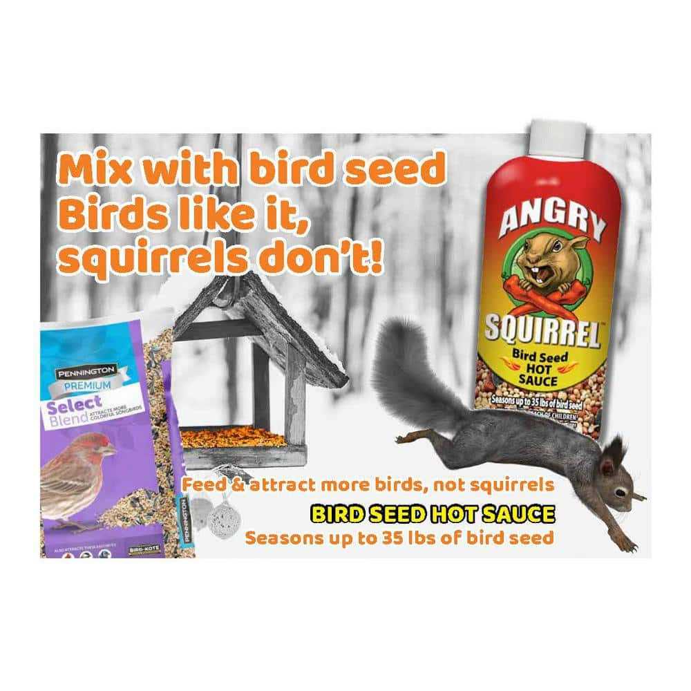 Bird Seed Hot Sauce 8 oz Y710006