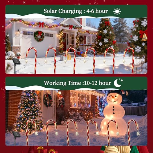 10 Pcs Solar Candy Cane Lights with 100 Led Lights H5589