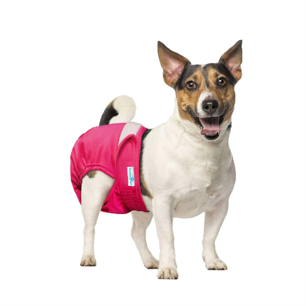 Washable Reusable Female Dog Diapers Y4602