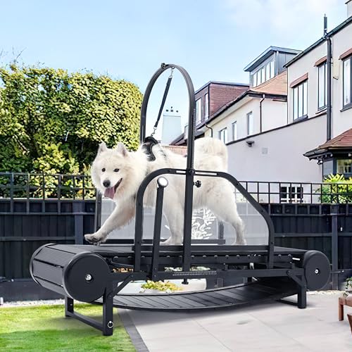 Adjustable Ramp Canine Running Slatmill Machine with Pedometer Z580