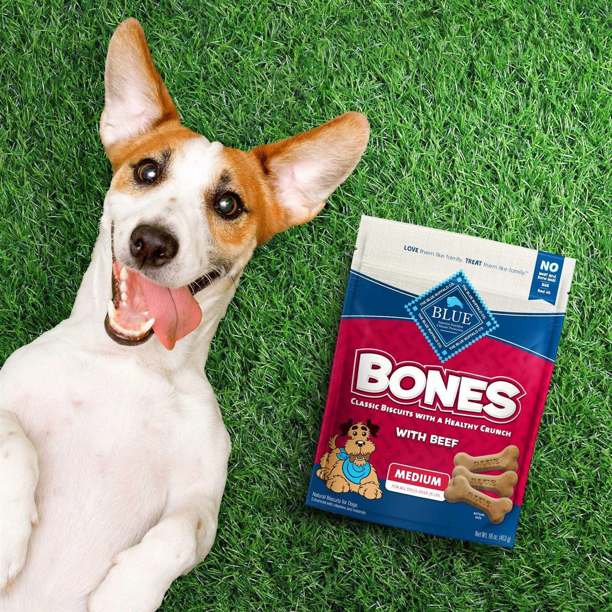Pet Supplies F714