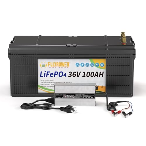 12V 100AH Lithium LiFePO4 Battery with BMS O728018