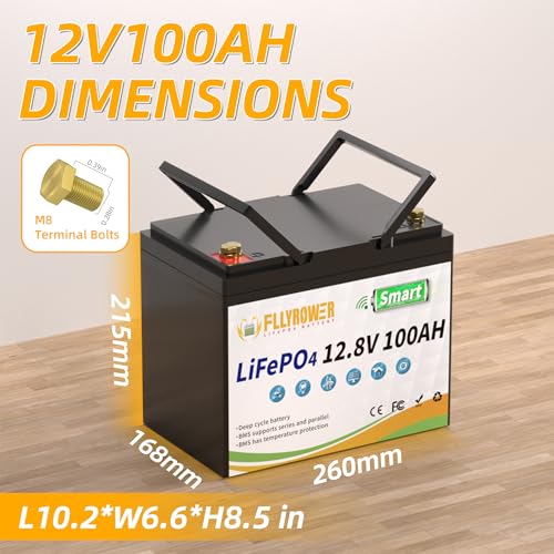 12V 100AH Lithium LiFePO4 Battery with BMS O728018