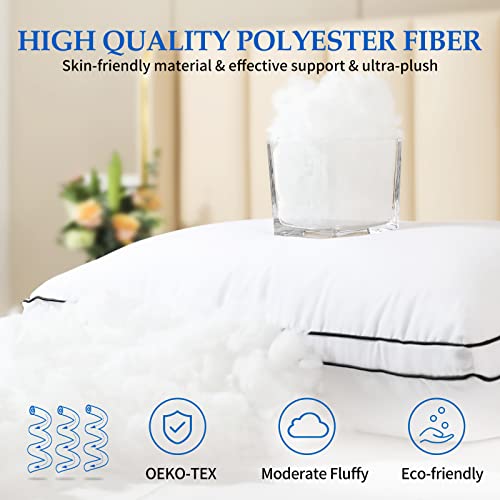 King Size Down Alternative Pillow Set of 2 C7713