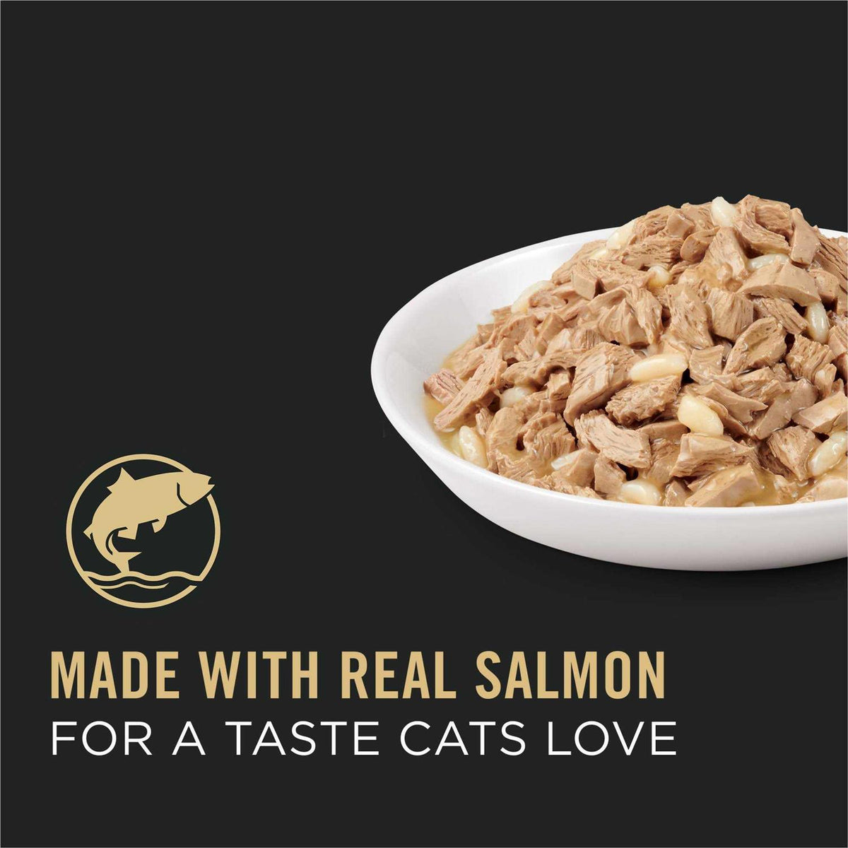 Adult Cat Food Salmon & Rice Entree in Sauce G90009