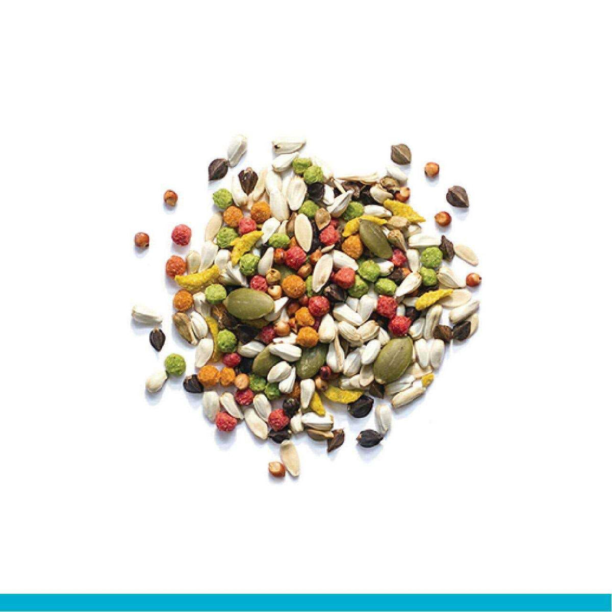 Sensible Seed Bird Food G319
