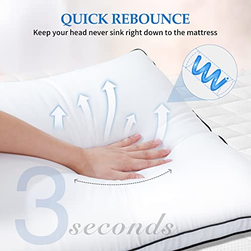 King Size Down Alternative Pillow Set of 2 C7713