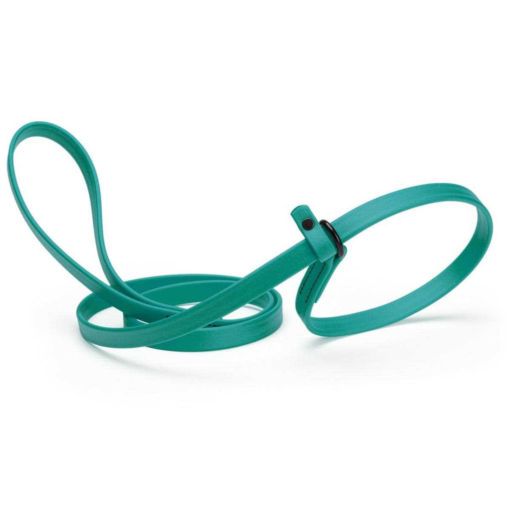 Biothane Slip Dog Leash Y469
