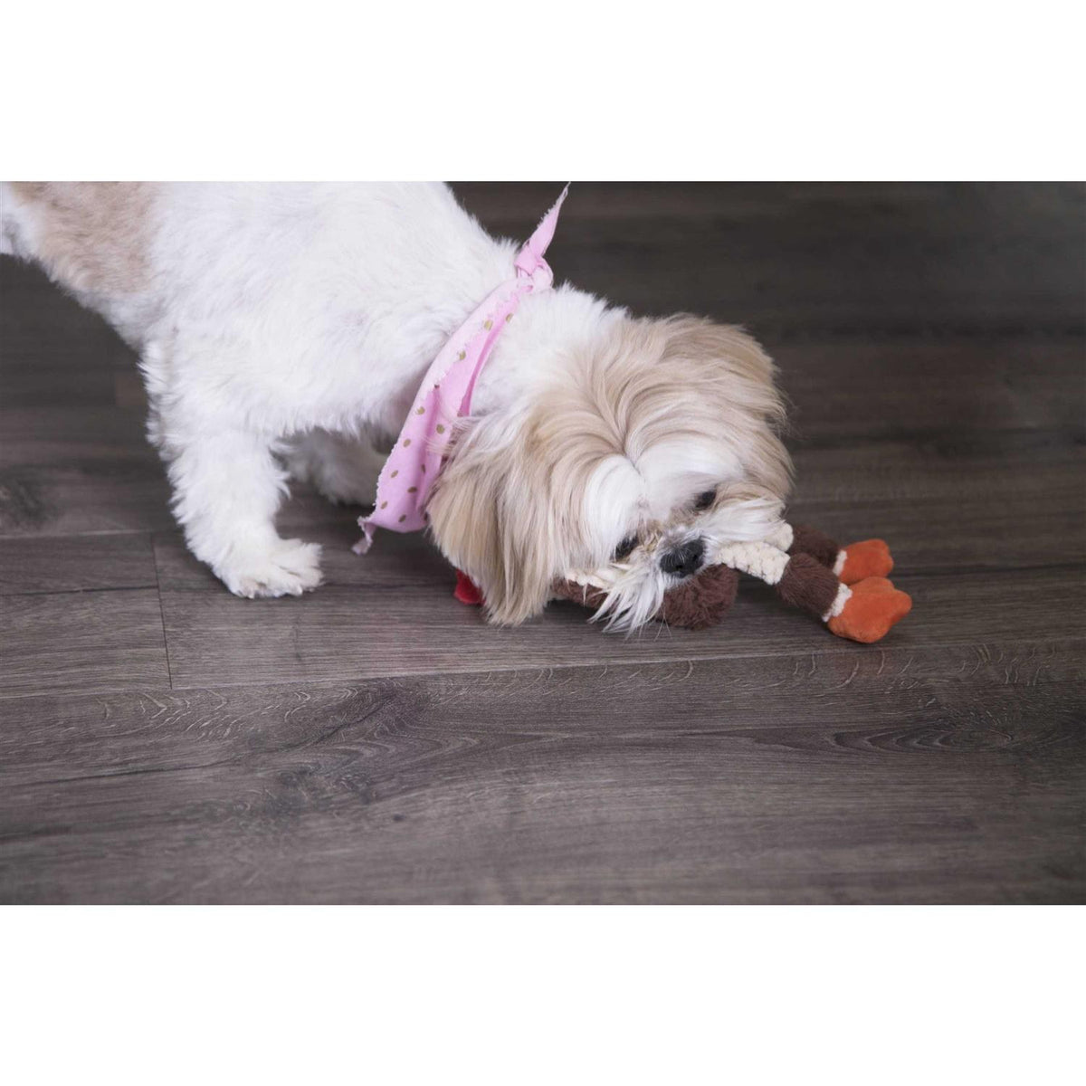 Skinny Rooster Dog Toy T809960