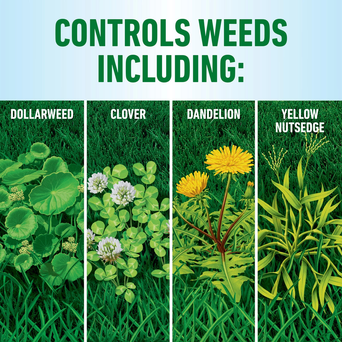 Weed Killer 1 gal. C725
