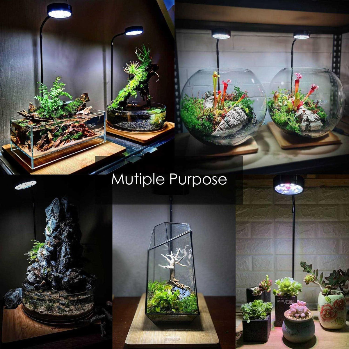 Full Spectrum LED Light with Bamboo Board A6453