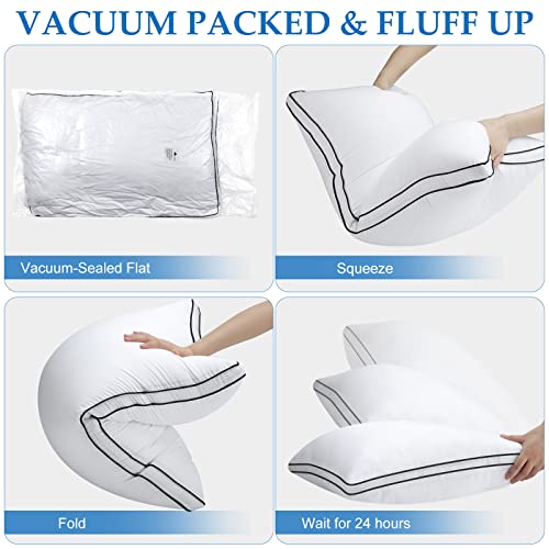 King Size Down Alternative Pillow Set of 2 C7713