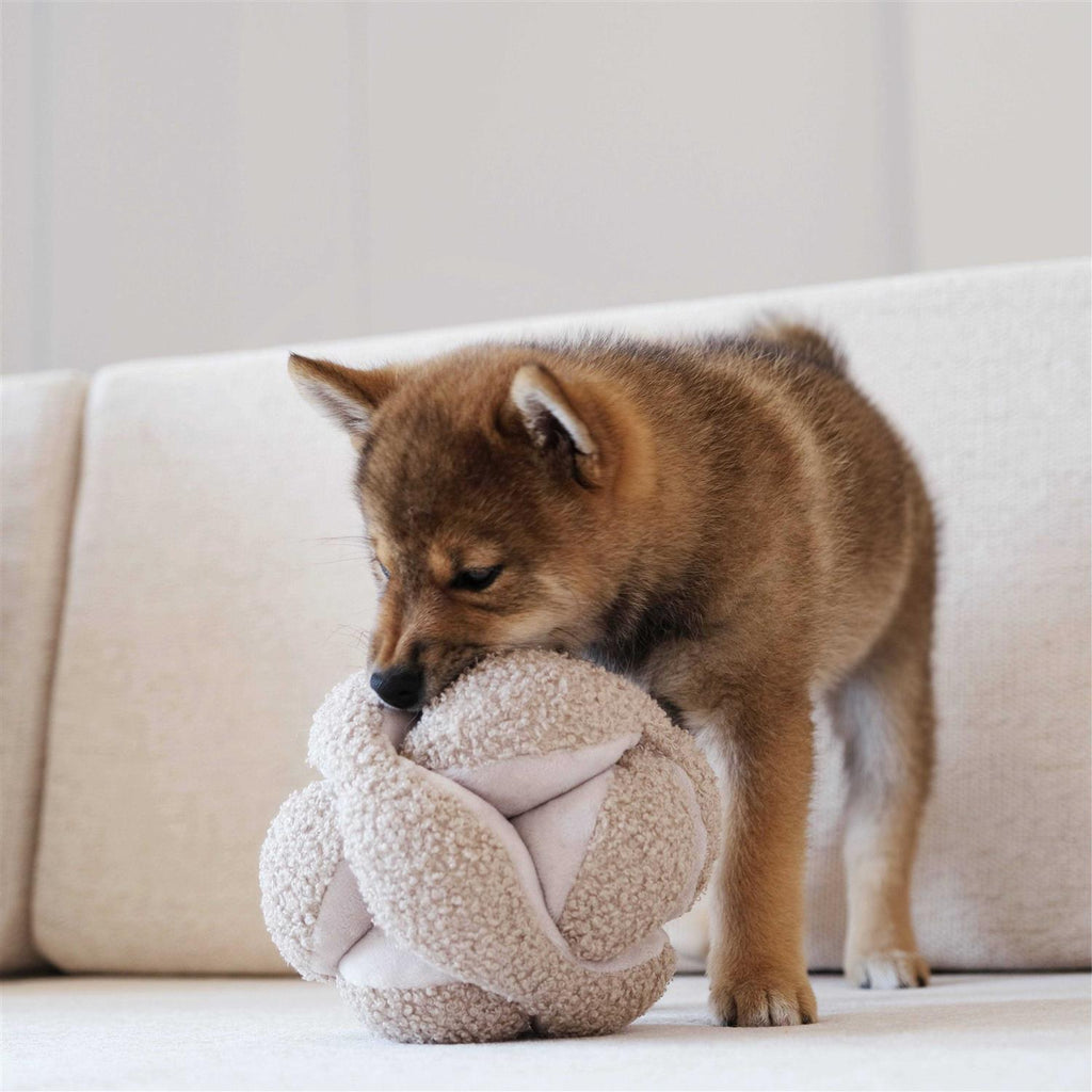 Dog Toy S914161