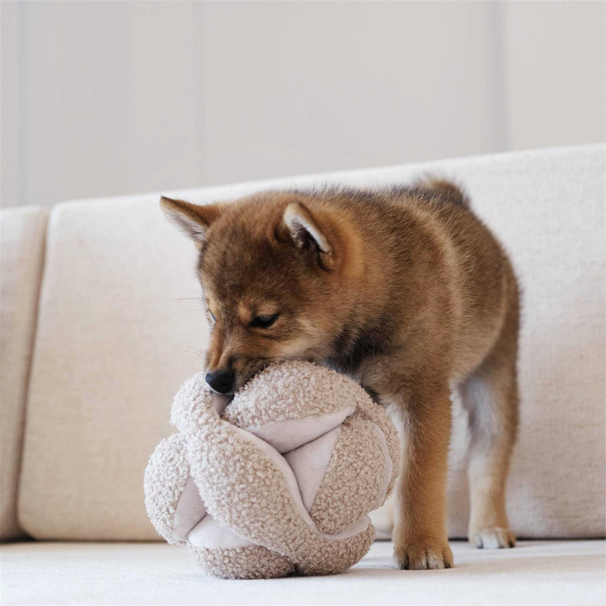 Dog Toy S914161