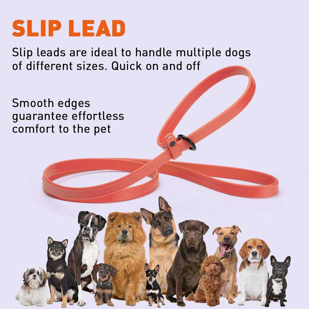 Biothane Slip Dog Leash Y469