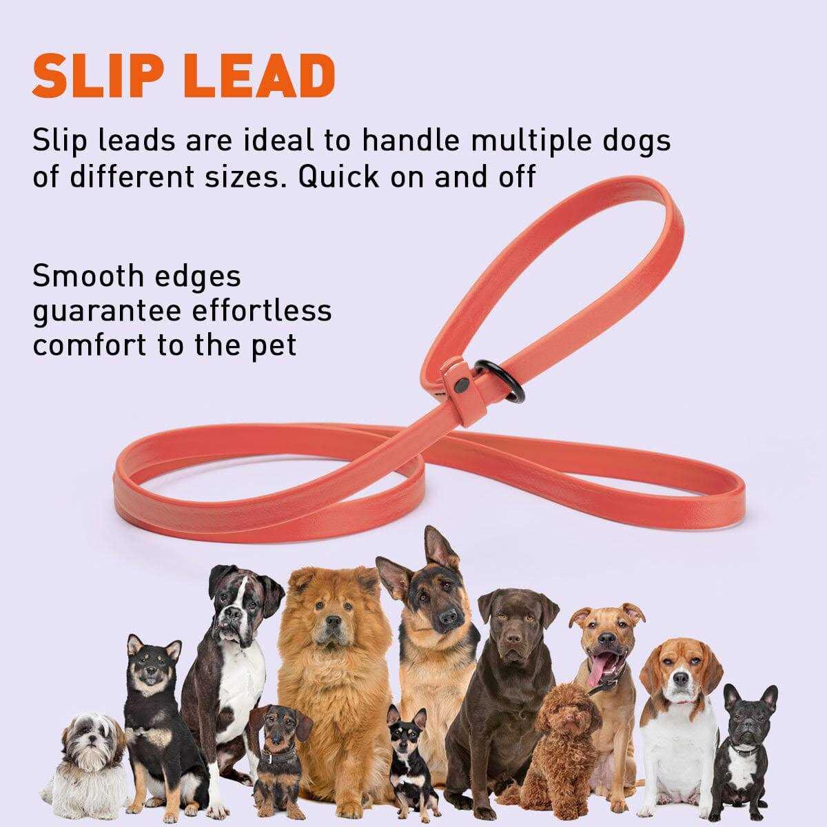 Biothane Slip Dog Leash Y469