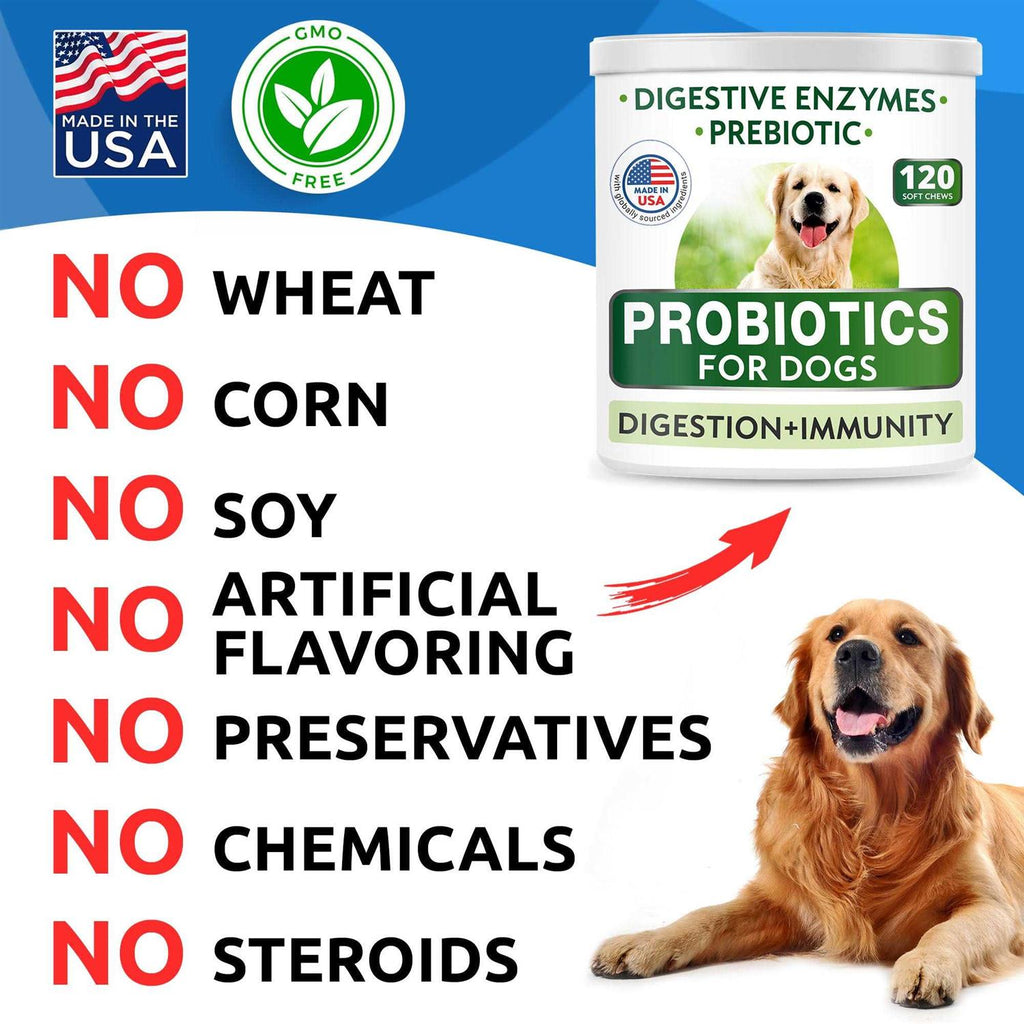 Probiotics For Dogs J165