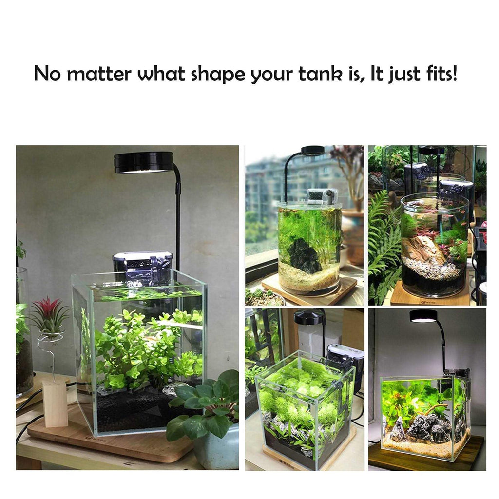 Full Spectrum LED Light with Bamboo Board A6453