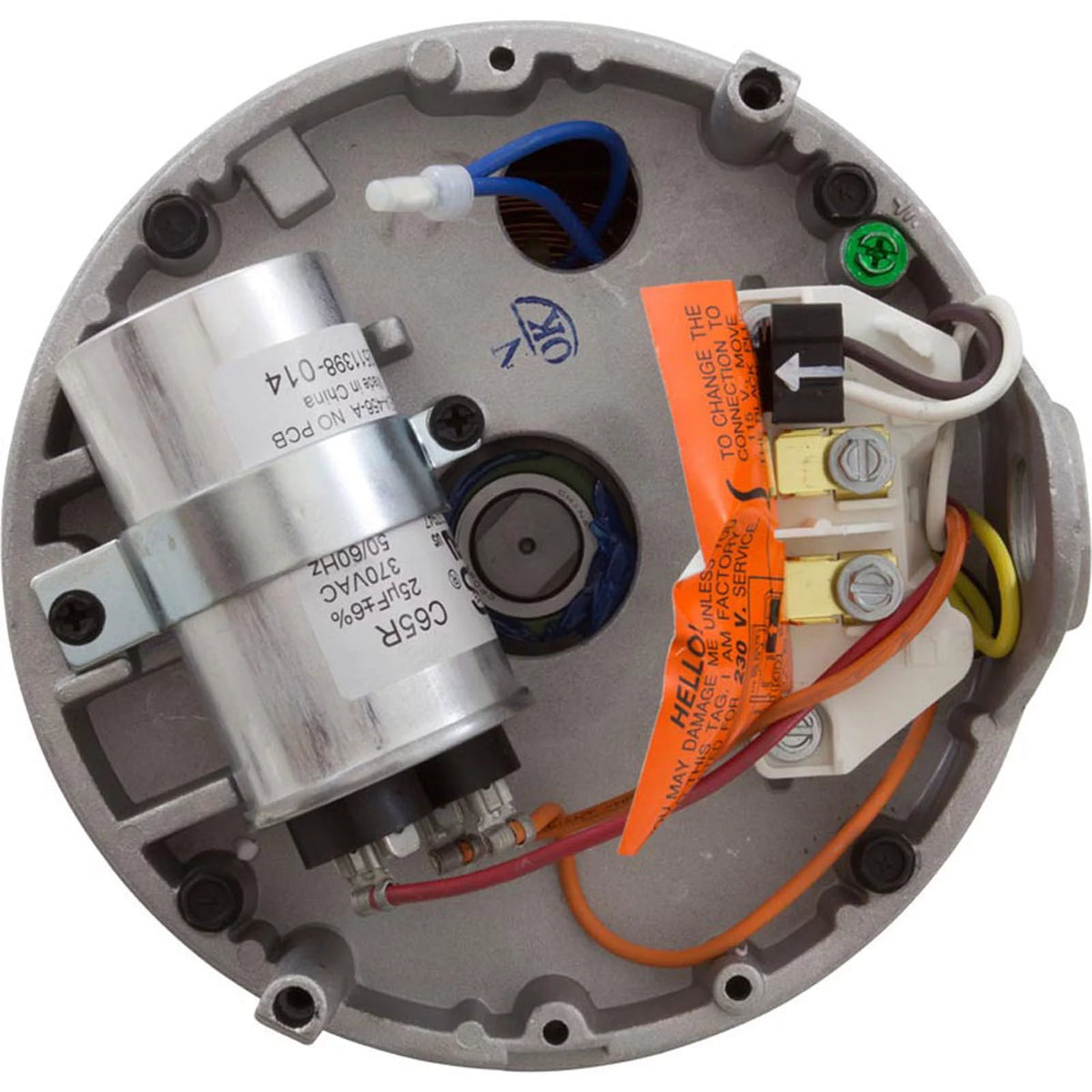 1-1/2 HP Pool and Spa Pump Motor C228764