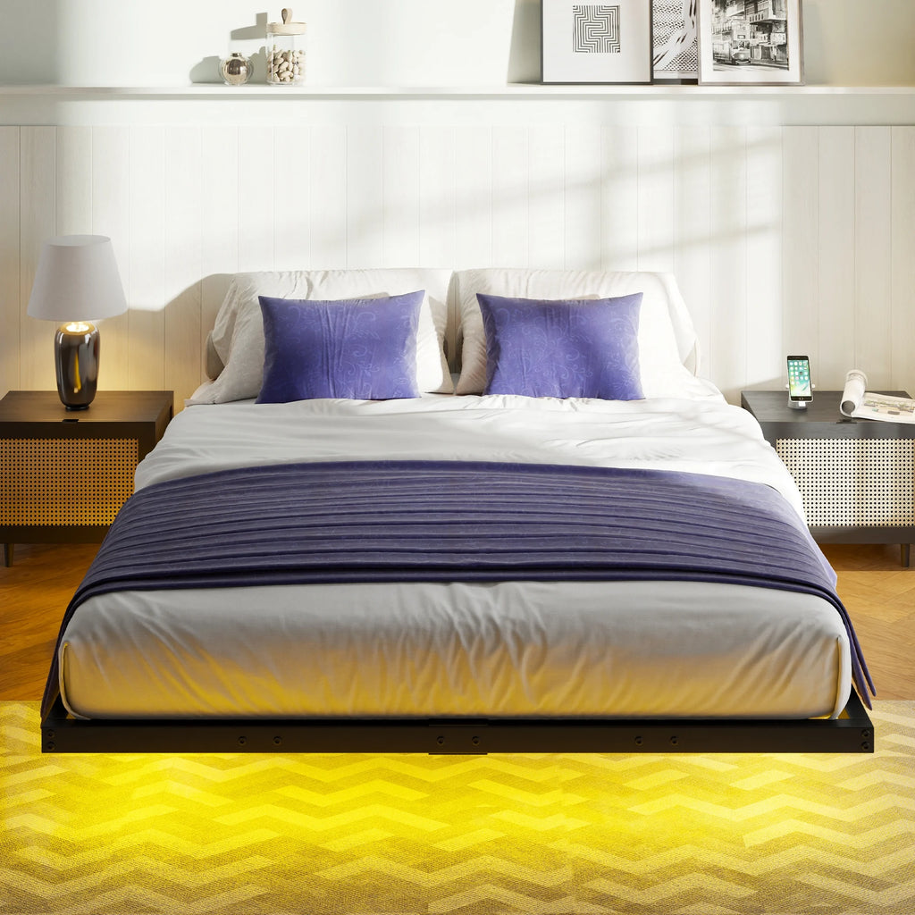 Queen Size LED Metal Platform Bed Z2383