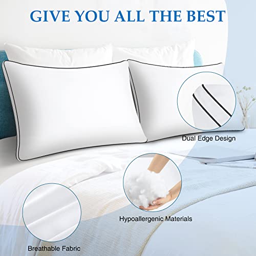 King Size Down Alternative Pillow Set of 2 C7713
