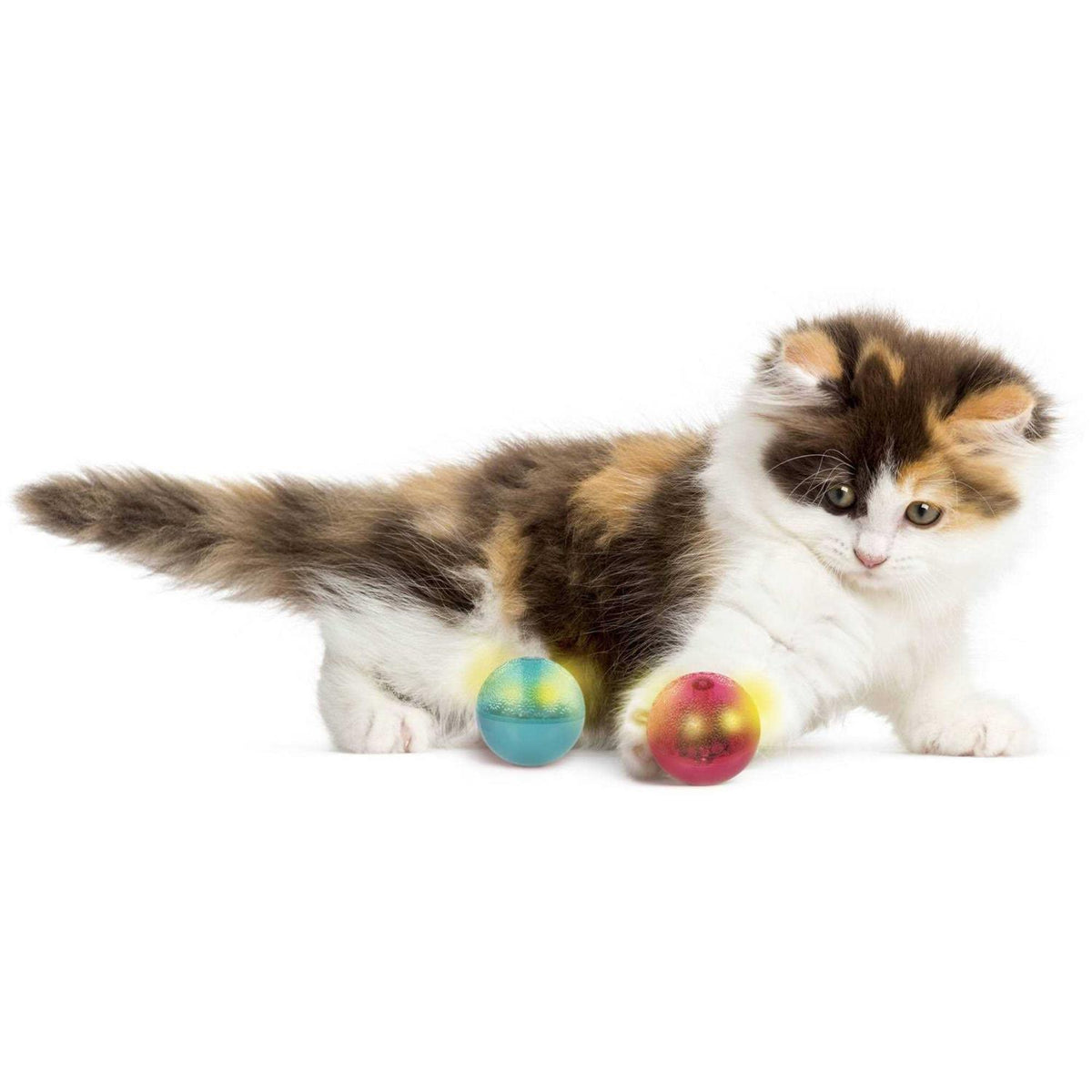 Cat Toy W203