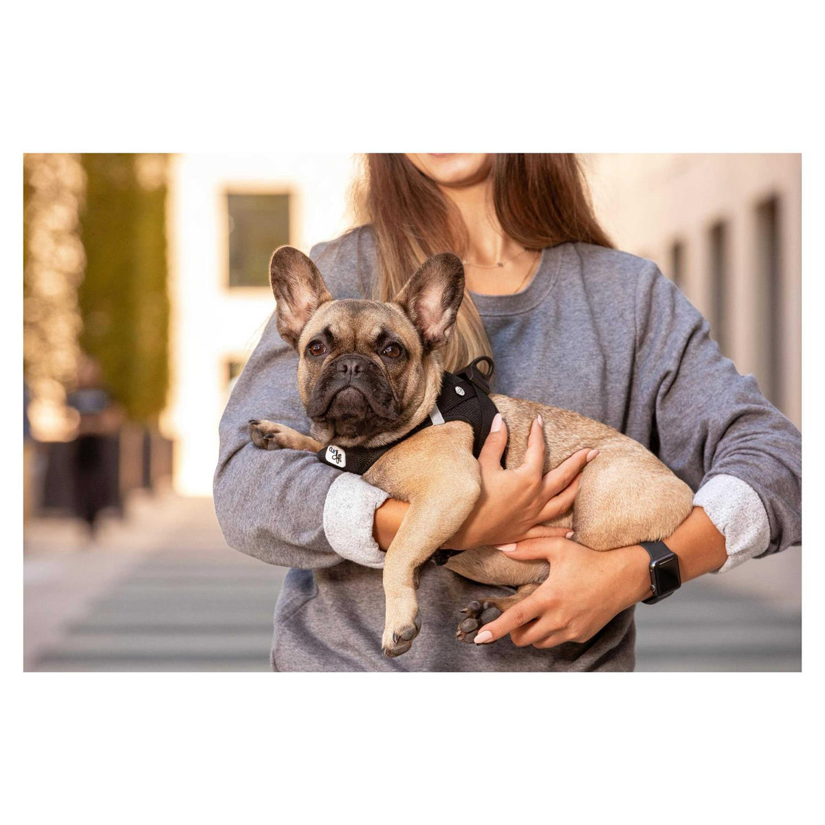 Air-Mesh Dog Harness W123525