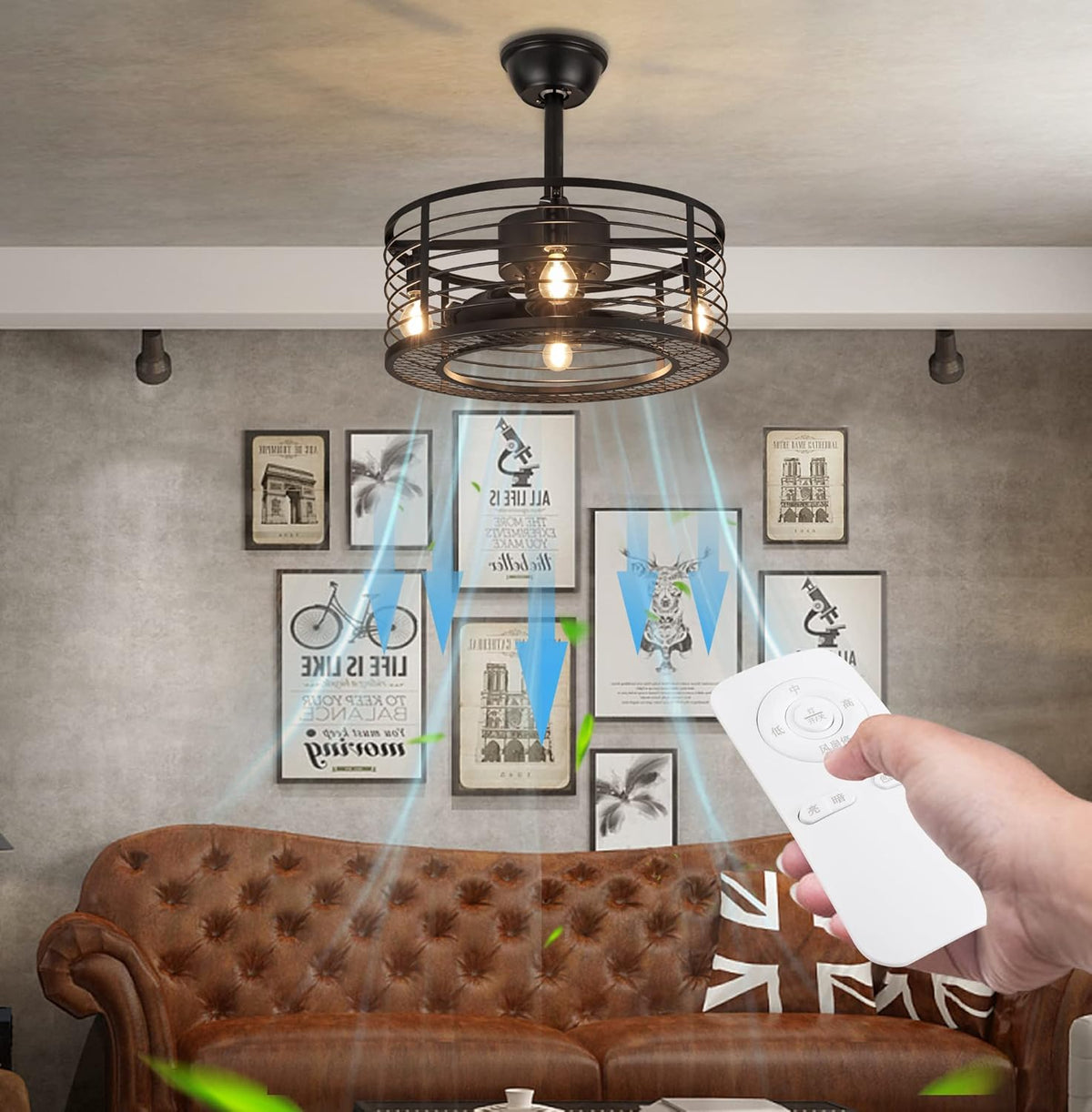 Black Industrial Caged Ceiling Fan with Remote Control X60005