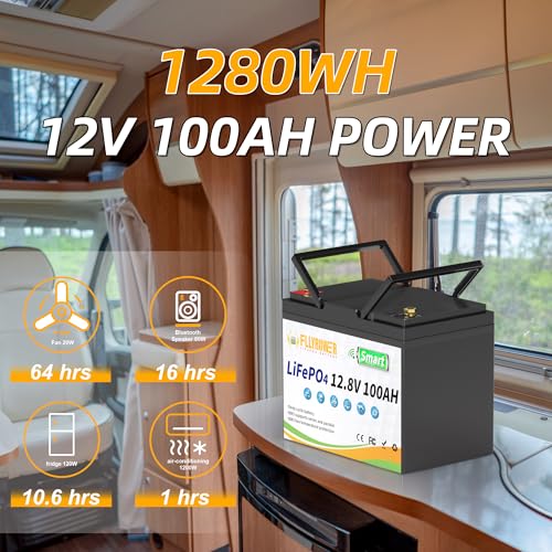 12V 100AH Lithium LiFePO4 Battery with BMS O728018
