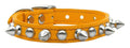 Chaser Mandarin - 24 N5778